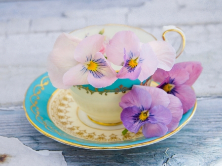 Still Life - nature, petals, flowers, still life, cup