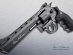 Dan Wesson Revolver