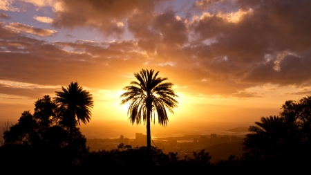 Sunset Scenery - nature, silhouette, trees, clouds, scenery, sunset, palm