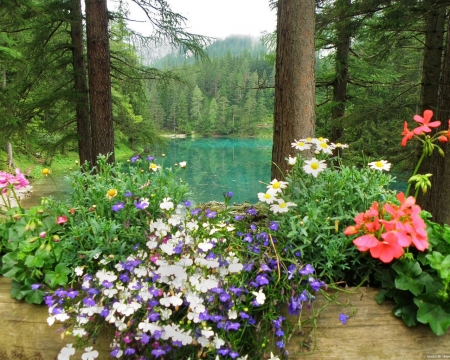 Summer Lake - flowers, trees, nature, summer, lake, forest