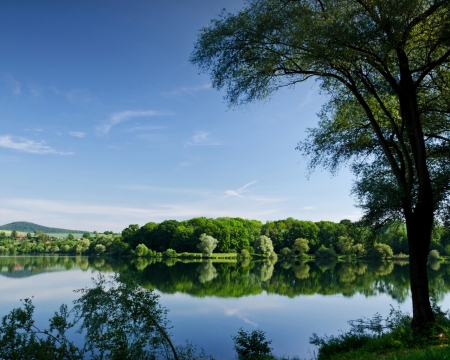 Summer River - trees, nature, summer, pond, landscape, lake, reflection