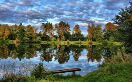 Pond at Laupheim, Germany - reflections, water, landscape, trees