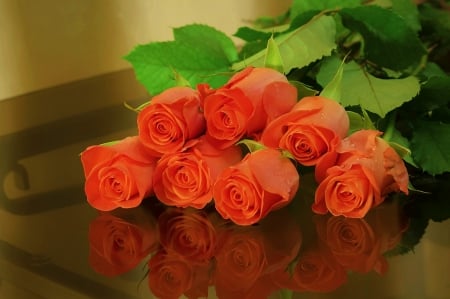 Beautiful Roses - roses, orange, seven, beautiful