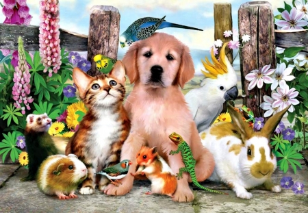 Good Companions - ferret, rabbit, birds, dog, guinea pig, spring, hamster, fence, budgies, bunny, cat, flowers, lizzard, frog