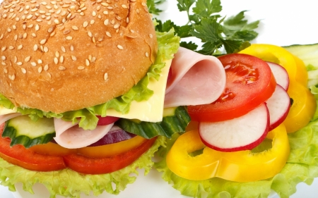 Delicious Burger - burger, colorful, vegetalbes, delicious, food