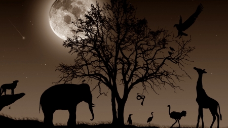 Full Moon - moon, full, elephant, animals