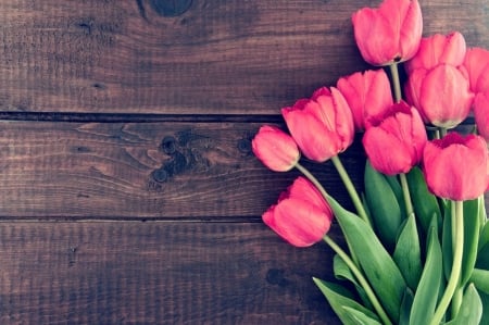 â™¥ - flowers, pink, tulips, abstract