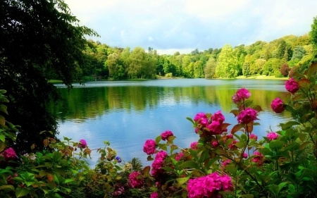 Peaceful Lake - flowers, trees, nature, lake, forest, peaceful, reflection