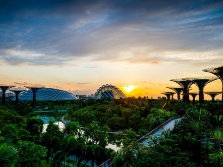 Singapore Garden - river, trees, nature, garden, sunrise, buildings, park, bridge