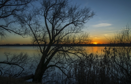 Amazing Sunset - water, lake, tree, sunset