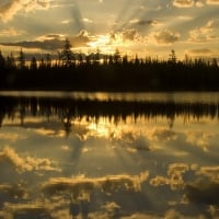 River in Reflection 