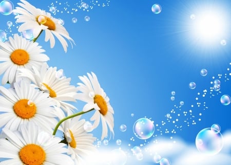 Daisies and bubbles - white, yellow, luminos, blue, day, sun, daisy, bubbles