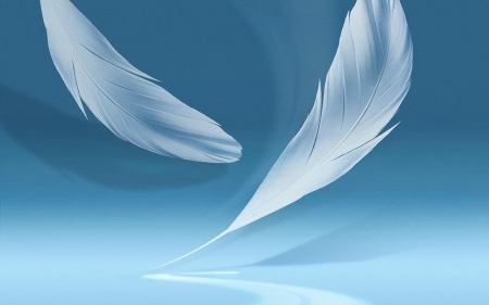 Feathers - white, blue, feather, texture, luminos