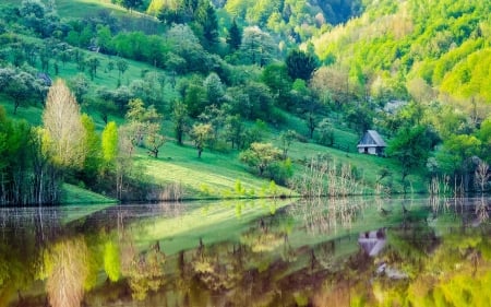 Amazing Reflection - Trees, Hll, Lake, Home