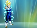 DBZ - Majin Vegeta