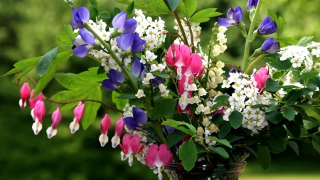 Spring Flowers - white, blossoms, pink, bouquet, hearts, colors, blue