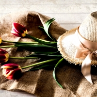 Tulips and Hat