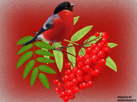 BIRD SITTING ON BERRIES - BERRIES, CREATION, BIRD, ABSTRACT