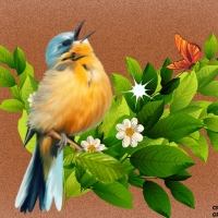 LITTLE SONG BIRD