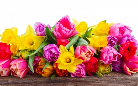 Floral Boutique - flowers, tulips, Spring, wood, floral, daffodils, boutique