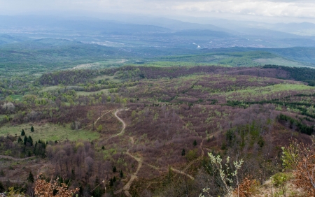 Panorama de pe platoul Ignis spre Iapa - viata, padure, verdeata, incredere