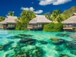 gorgeous tropical resort bungalows