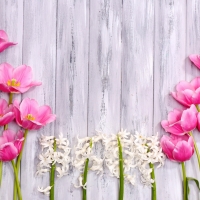 Hyacinths and Tulips