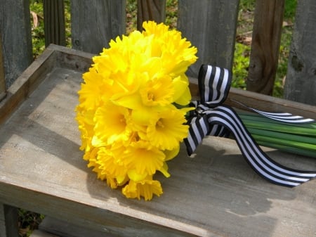 DAFFODIL BOUQUET - DAFFODILS, WHITE, BLUE, RIBBON