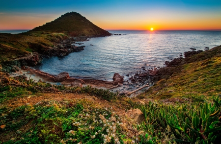 Coastal sunrise - rocks, beautiful, wildflowers, serenity, sun, ocean, shore, sky, reflection, coast, sunset, sea, sunrise