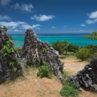 turquoise ocean