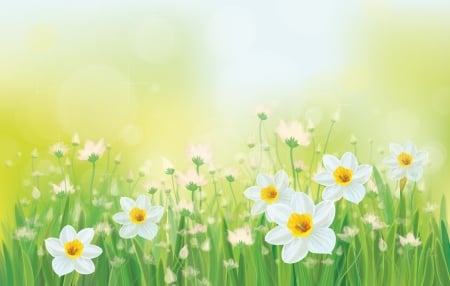 Pale Naarcissus - garden, pale, soft, flowers, field, spring, firefox persona theme, narcissus