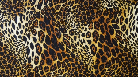 leopard wallpaper - animal, wallpaper, leopard, prints