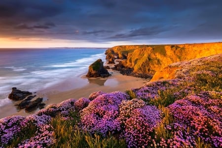 Coastal wildflowers - clouds, coast, beach, beautiful, landscape, sea, ocean, wildflowers, shore, view, waves, sky, rocks