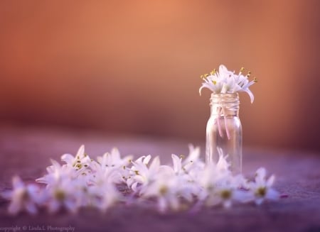 â™¥ - bottle, abstract, flowers, soft