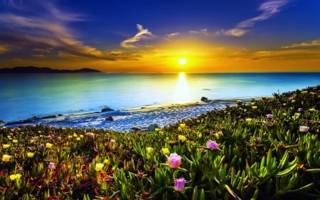 Sea sunrise - ocean, beach, sky, water, shore, sunset, waves, glow, amazing, beautiful, sea, sunrise, wildflowers