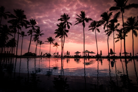 Palm Trees Beside Calm Lake - romantic, beach, island, sunrise, dream, paradise, sky, clouds, trees, vacation, resort, love, palm, nature, sunset, pool, dusk, umbrellas