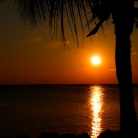 Sea Sunset