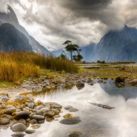 Milford Sound, New Zealand