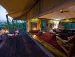 Luxury Of African Safari