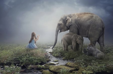 Girl and elephants - cub, girl, creative, baby, family, fantasy, elephant, woman, cute