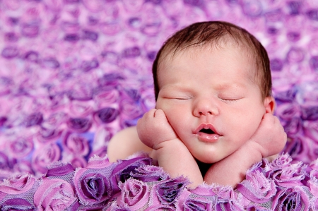 Baby girl - flower, child, copil, rose, pink, cute, baby, girl, sleep