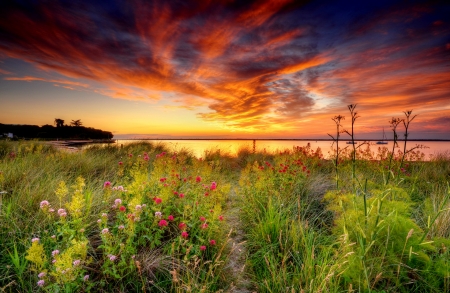 Fiery sunset - clouds, amazing, beautiful, grass, meadow, wildflowers, glow, river, shore, sunset, field, fiery, lake, sky