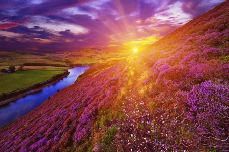 Beautiful sunset - slope, valley, sky, sunshine, colorful, sunset, amazing, purple, clouds, river, rays, sunlight, mountain, glow, pink, beautiful, wildflowers