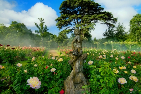 Blenheim palace-rose garden - sky, fragrance, roses, greenery, park, spring, alley, beautiful, scent, tree, flowers, garden, palace