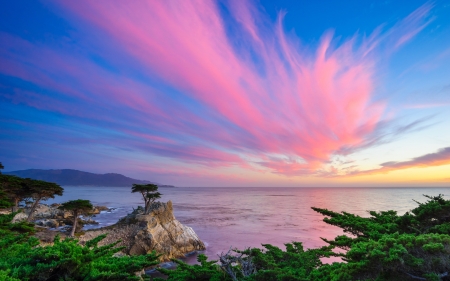 A Lone Cypress - clouds, trees, sunset, nature, landscape, pebblich, cypress