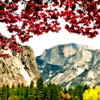 Spring in Yosemite Park