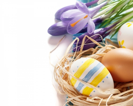 Happy Easter! - white, crocus, nest, easter, card, egg, flower