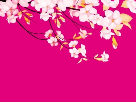 Spring - blossom, white, flower, pink