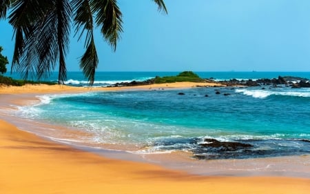 Tropical Beach - palm trees, sand, sea, surf