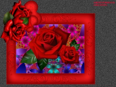 FRAMED RED ROSE - framed, red, creation, rose